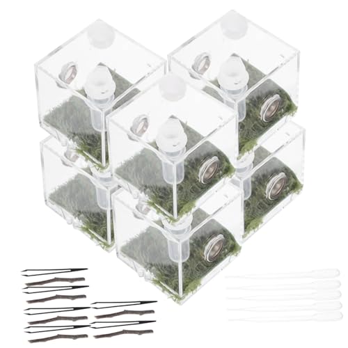 Parliky 2sätze Acryl-futterbox Für Sprungspinnen Transparente Habitat-Box Kleine Fütterungsstation Für Beobachtungen Und Pflege Von Insekten Und Reptilien von Parliky