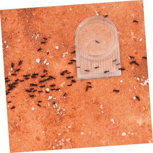 Parliky 2 Stück Ameisen Wasserspender Transparentes Formicarium Futter Wasserbehälter Praktisch Einfach Nachfüllbar Für Ameisenkolonie und Insektenhaltung von Parliky