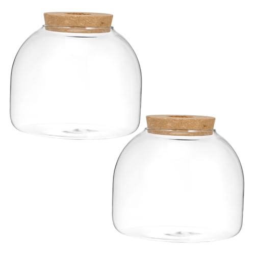 Parliky Versiegelung Glas Moos Pflanze Flasche 2 Stücke Landschaft Flasche Elegante Dekorative Landschaftsbau Container von Parliky