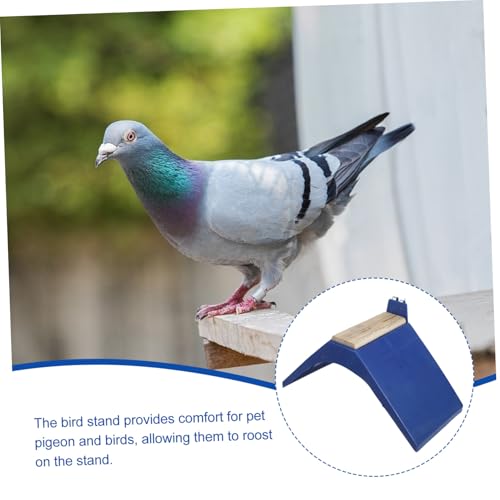 Parliky 2 Stück Tauben Sitzstange aus Massivholz Stabiler Vogel roosting Halter Multifunktionaler Spielplatz für Papageien und Kleine Vögel Kippsicher und Sicher für Heimtiere von Parliky