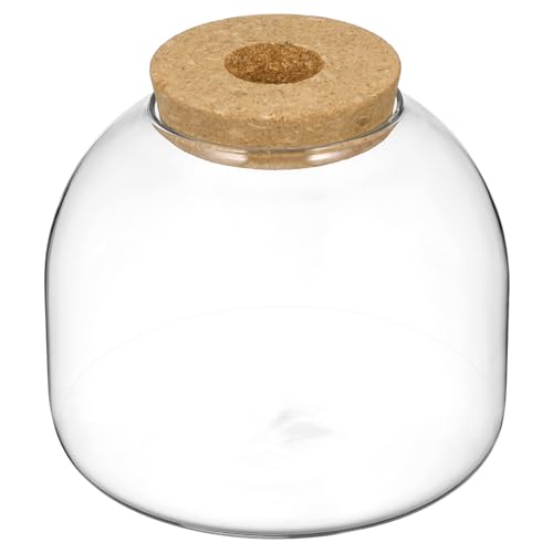 Parliky 2St Flasche aus Korkglas bürodeko schlafzimmerdeko Dekoration Garten Tischpflanzenterrarium Fischglasvase behälter Zimmerpflanze Ökosystem Terrarium Glasterrarien für Pflanzen Holz Parliky 2St Flasche aus Korkglas bürodeko schlafzimmerdeko Dekoration Garten Tischpflanzenterrarium Fischglasvase behälter Zimmerpflanze Ökosystem Terrarium Glasterrarien für Pflanzen Holz von Parliky