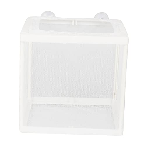 Parliky 2st Aquarium Inkubator Zuchtnetz Für Aquarien Fischzucht Fischnetz Für Aquarien Eingewöhnungsnetz Aquarien-inkubator Trennwand Für Aquarien Netz Plastik Und Parliky 2st Aquarium Inkubator Zuchtnetz Für Aquarien Fischzucht Fischnetz Für Aquarien Eingewöhnungsnetz Aquarien-inkubator Trennwand Für Aquarien Netz Plastik Und von Parliky
