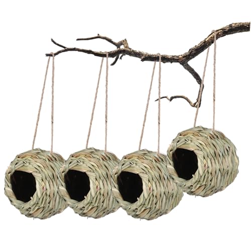 Parliky 4 Stück Handgewebtes Rundes Vogelnest Natürliches Offenes Schlafnest für Kolibris Papageien und Kleine Vögel Sicheres Dekoratives Hänge vogelhaus für Garten und Balkon Parliky 4 Stück Handgewebtes Rundes Vogelnest Natürliches Offenes Schlafnest für Kolibris Papageien und Kleine Vögel Sicheres Dekoratives Hänge vogelhaus für Garten und Balkon von Parliky