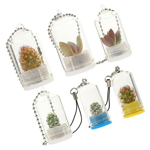 Parliky Miniatur-glasvase Als Schlüsselanhänger 6 Stück Hängendes Glas-Terrarium Für Schlüsselanhänger Charm Dekorativer Mini-pflanztopf Parliky Miniatur-glasvase Als Schlüsselanhänger 6 Stück Hängendes Glas-Terrarium Für Schlüsselanhänger Charm Dekorativer Mini-pflanztopf von Parliky