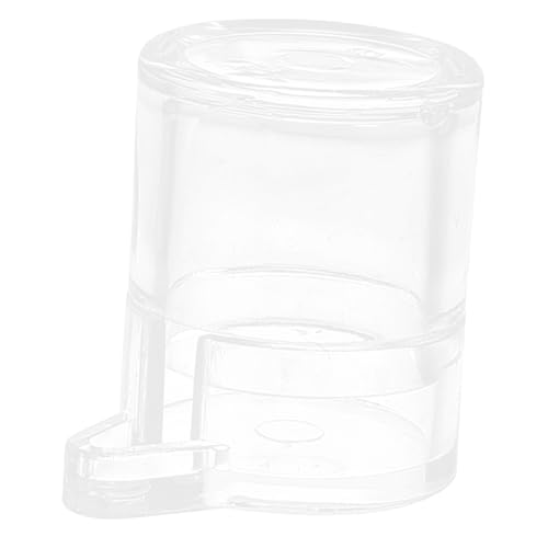 Parliky Ameisen Wasser Futterspender Acryl Trinkbehälter Kleiner Napf für Ameisenfarm Futterstelle Insektenpflege Einfach zu Reinigen Stabil und Langlebig von Parliky