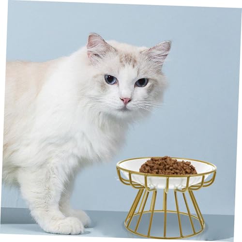 Parliky Erhöhter Katzennapf Keramik mit Metallhalterung rutschfeste Futterschale gegen Schnurrhaarmüdigkeit Langlebige und Stilvolle Futterstation für Katzen Täglicher Nutzung Parliky Erhöhter Katzennapf Keramik mit Metallhalterung rutschfeste Futterschale gegen Schnurrhaarmüdigkeit Langlebige und Stilvolle Futterstation für Katzen Täglicher Nutzung von Parliky