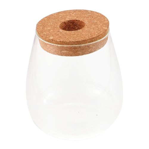 Parliky Flasche Fallen Lassen großes Terrarium Behälter für Mikrolandschaften Luft Indoor Plants zimmerpflanzen Anlage Bryophyte ökologische Flasche hydroponisches Pflanzenterrarium Glas von Parliky