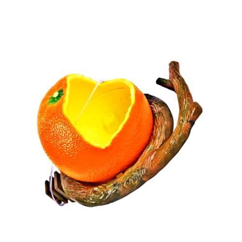 Parliky Orange Vogel Fütterung Schüssel Obst Vögel Fütterung Schüssel Zweig Form Käfig Tiernahrung Parliky Orange Vogel Fütterung Schüssel Obst Vögel Fütterung Schüssel Zweig Form Käfig Tiernahrung von Parliky