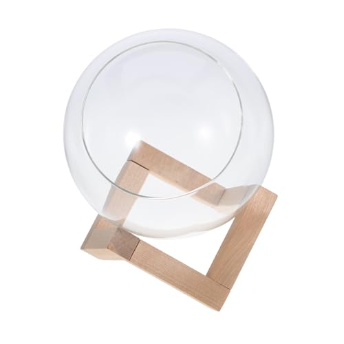 Parliky Glas Pflanzenterrarium mit Holzständer Runde Glasvase mit Schrägem Öffnung für Pflanzenvermehrung Transparente Glasdecke Pflanzendeko für Zimmerpflanzen und Desktop Propagation von Parliky