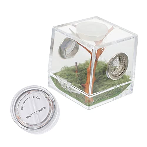 Parliky Box für Springspinnen Spinnen-Lebensraumbox mit Luftbefeuchter Fütterungsanschluss für Zuhause Parliky Box für Springspinnen Spinnen-Lebensraumbox mit Luftbefeuchter Fütterungsanschluss für Zuhause von Parliky