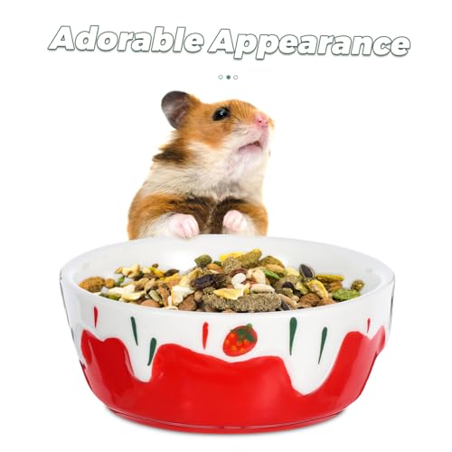 Parliky Keramik Futternapf für Hamster und Kleintiere rutschfest Antispill und Antikipp Geeignet für Meerschweinchen Kaninchen Chinchillas und Igel Kleines Rotes Modell Parliky Keramik Futternapf für Hamster und Kleintiere rutschfest Antispill und Antikipp Geeignet für Meerschweinchen Kaninchen Chinchillas und Igel Kleines Rotes Modell von Parliky