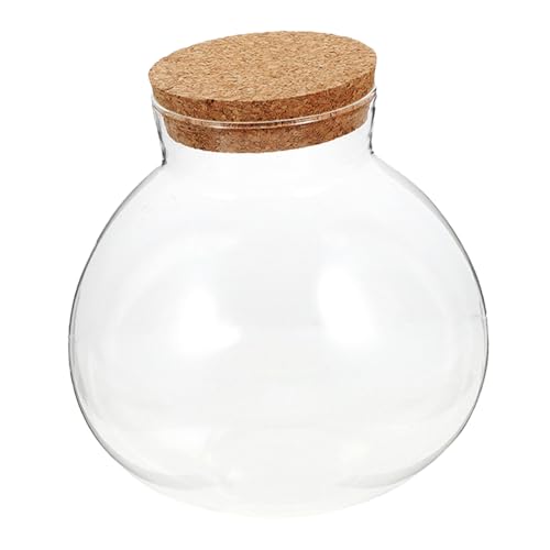 Parliky Mikrolandschaft Ökologische Flasche Luftpflanzen Terrarium Nachrichtenglas Glas Ausstellungsgläser Versiegeltes Glas Rundes Terrariumglas Geschlossenes Terrariumglas Terrarium von Parliky