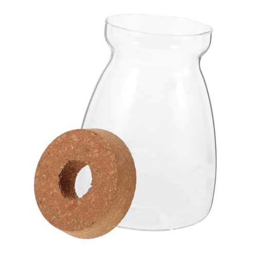 Parliky Runde Pflanzvase Aus Glas Versiegelt Landschaftsterrarium Mit Holzdeckel Fürs Büro von Parliky