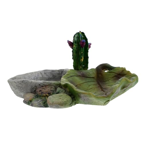 Parliky Reptilien Wassernapf Einstellbare Fütterungsschale für Schildkröten Eidechsen und Andere Haustiere für Terrarien Langlebig Reinigen Perfektes von Parliky