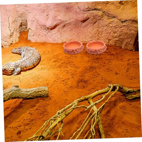 Parliky Reptilien futternapf aus Robustem Harz Rutschfestes Wassernapf mit Glatter Oberfläche Kippsicheres Design Leicht zu Reinigen für Terrarien mit Echsen Schildkröten und Kleinen von Parliky
