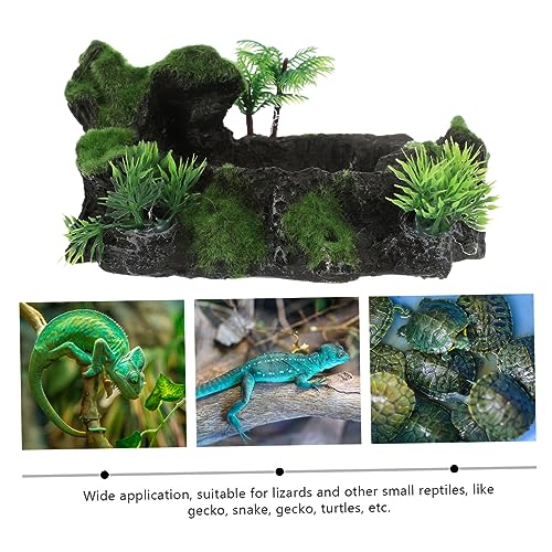 Parliky Reptilienschale aus Umweltfreundlichem Harz Natürliche Farbgestaltung Geeignet als Futter und Wassernapf für Geckos Eidechsen und Schildkröten Dekoratives Terrarium Accessoire von Parliky