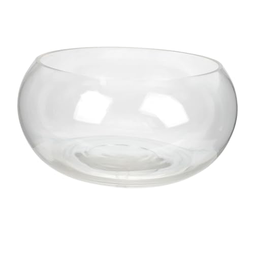 Parliky Glasterrarium Rund Fischglas Mini-Aquarium Aquarium Desktop-Dekoration Büro-Aquarium Glasschüssel Vase Parliky Glasterrarium Rund Fischglas Mini-Aquarium Aquarium Desktop-Dekoration Büro-Aquarium Glasschüssel Vase von Parliky
