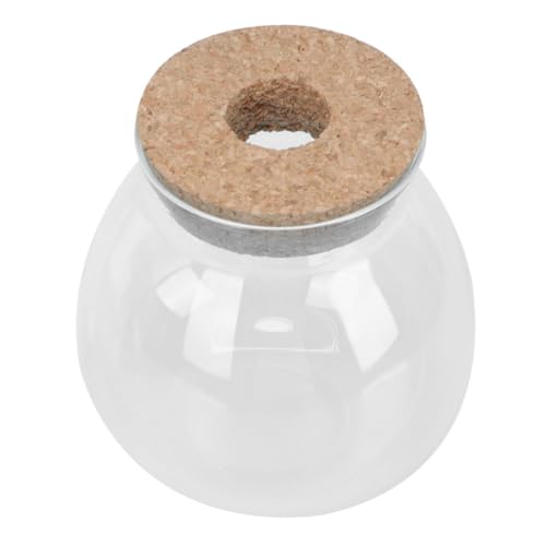 Parliky Transparente Glasflasche Mikrolandschaft Pflanzflasche Wiederverwendbar Glasdöschen Terrarium Pflanzenglas für DIY Miniatur Garten Tischdeko von Parliky