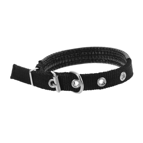 Parliky Hundehalsband Aus Polyester Verstellbares Haustierhalsband Dekoratives Katzenhalsband Für Welpen Hundehalsbänder Für Draußen Haustierhalsband Für Festivals Parliky Hundehalsband Aus Polyester Verstellbares Haustierhalsband Dekoratives Katzenhalsband Für Welpen Hundehalsbänder Für Draußen Haustierhalsband Für Festivals von Parliky