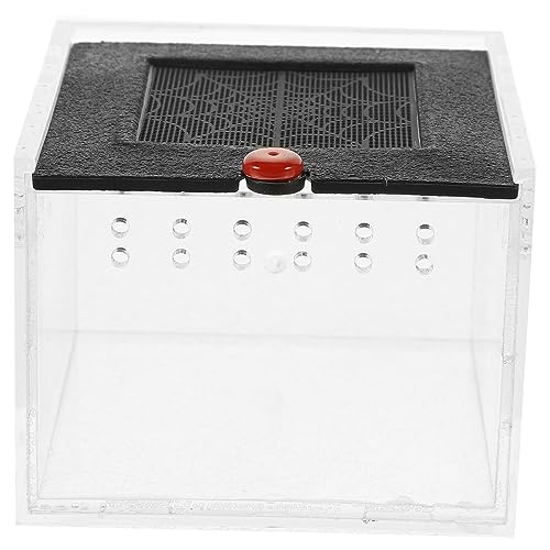 Parliky Vertikales Terrarium Acrylplatte Futterbox für Insekten und Reptilien für Schnecken Spinnen Frösche Eidechsen Belüfteter Lebensraum Parliky Vertikales Terrarium Acrylplatte Futterbox für Insekten und Reptilien für Schnecken Spinnen Frösche Eidechsen Belüfteter Lebensraum von Parliky