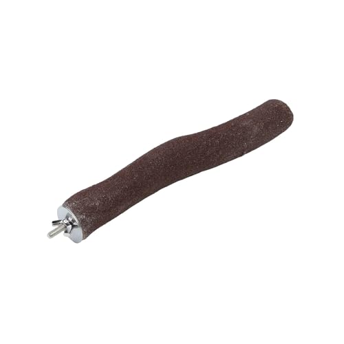 Parrot Essentials 720032 Sanded Barsch für Vögel und Papageien Käfig, Groß, L, 220 g von Parrot Essentials