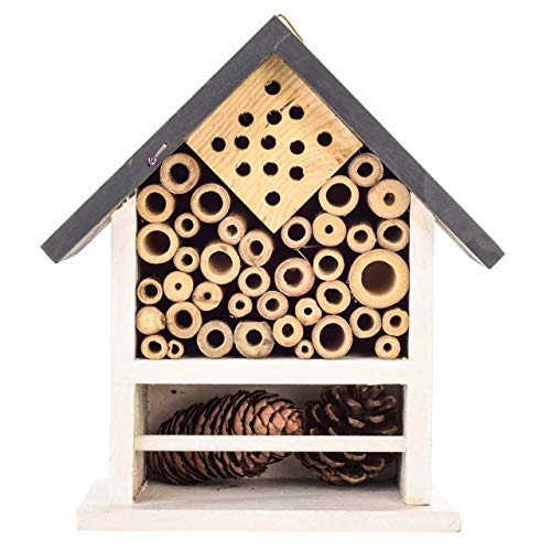 Parrot Essentials 720097 Hölzern Vogelhaus für Bienen, Marienkäfer und Insekten, 730 g von Parrot Essentials