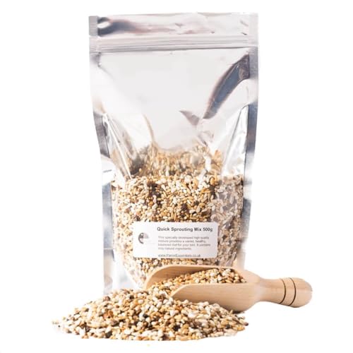 Quick Sprouting Samenmischung für Papageien – Natürliche Keimmischung Hochnahrhaftes gesundes Vogelfutter – 500 g von Parrot Essentials
