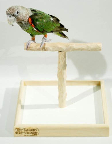 Deluxe Tabletop NU Sitzstange – Papageien-T-Sitzstange Deluxe Tabletop NU Sitzstange – Papageien-T-Sitzstange von Parrot Wizard