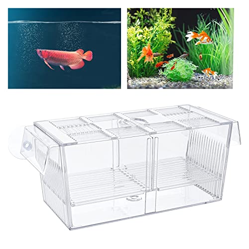 Aufzuchtbecken Aquarium, Ablaichkasten Aquarium, Babybecken Quarantänebecken Zuchtbecken für aggressiv verletzte, Schwangere Fische, kleine Fische, Garnelen, Clownfische - 220 x 95 x 100 mm Aufzuchtbecken Aquarium, Ablaichkasten Aquarium, Babybecken Quarantänebecken Zuchtbecken für aggressiv verletzte, Schwangere Fische, kleine Fische, Garnelen, Clownfische - 220 x 95 x 100 mm von Parthan