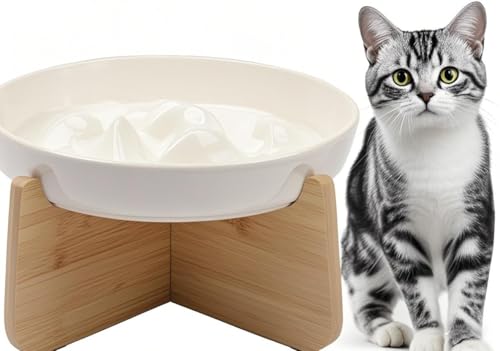 Keramik Anti Schling Napf Katze, Slow Feeder Katzennapf Erhöht, Schlingnapf Katze Nassfutter mit rutschfestem Boden, Einfach zu Reinigen, Antischlingnapf für Katzen und Kleine Hunde, Weiss Keramik Anti Schling Napf Katze, Slow Feeder Katzennapf Erhöht, Schlingnapf Katze Nassfutter mit rutschfestem Boden, Einfach zu Reinigen, Antischlingnapf für Katzen und Kleine Hunde, Weiss von Parthan