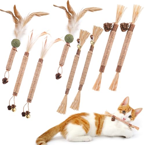 Partideal Katzenminze Stick, 8 Stück Katzensticks zur Zahnreinigung Katzenminze Spielzeug Kausticks Set für Katze zu Spielen, Beißen, Kauen Partideal Katzenminze Stick, 8 Stück Katzensticks zur Zahnreinigung Katzenminze Spielzeug Kausticks Set für Katze zu Spielen, Beißen, Kauen von Partideal