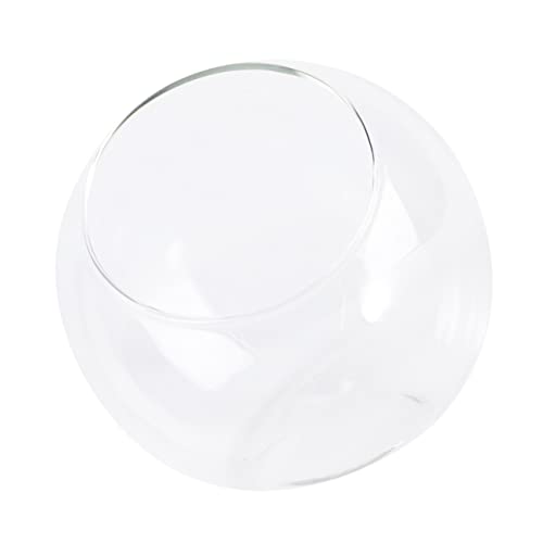 PartyKindom 1 Stück Öko-Flaschenornamente Mikrolandschaft Terrarium Terrarienglas einfach drinnen Pflanzen Mini-Landschaftsglasflasche Mikro-Landschaftsglasflasche Querformat Glasflasche von PartyKindom
