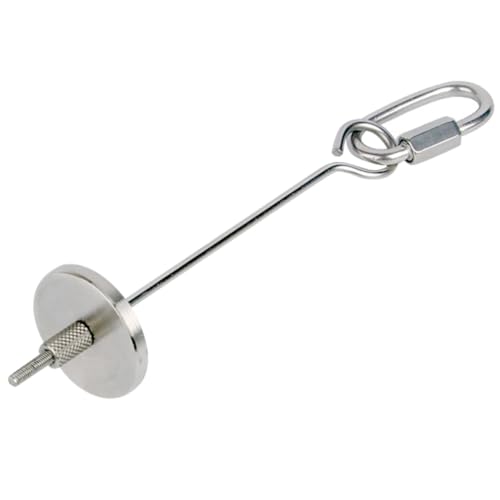 PartyKindom 1 Stück Vogelfütterer Vogelspieß Vogelfruchtspieße Gemüsespießhalter Papageienspieß Obst Futterspender Für Vögel Papageienspielzeug Vogelgemüsehalter Rostfreier Stahl Silver von PartyKindom