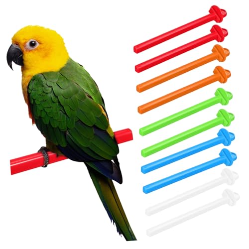 PartyKindom 10Stücke Teiliges Vogel Sitzstangen Farbige Übungsstangen für Sittiche und Nymphensittiche Stabile Struktur für Gesunde Pfotenpflege Zubehör für Vogelkäfige PartyKindom 10Stücke Teiliges Vogel Sitzstangen Farbige Übungsstangen für Sittiche und Nymphensittiche Stabile Struktur für Gesunde Pfotenpflege Zubehör für Vogelkäfige von PartyKindom