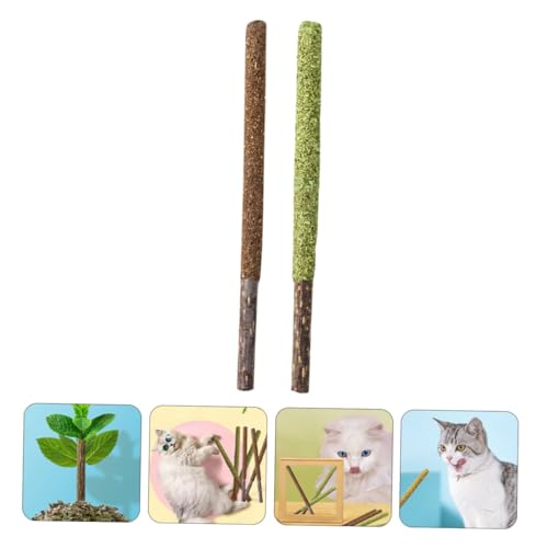 PartyKindom 12 Stück Teiliges Essbare Katzenbeißstangen mit Katzenminze und Gallfrucht Natürliche Actinidia Polygama Sticks zur Appetitanregung Zahnpflege und Beschäftigung für Katzen von PartyKindom