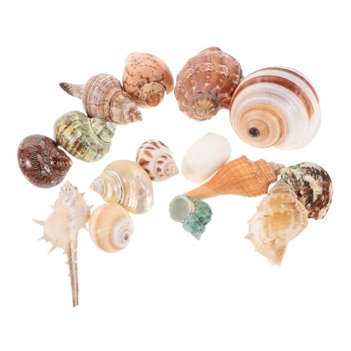 PartyKindom 15 Stück Teiliges Muscheln für Aquarien Natürliche Dekorationen für Fischbehälter DIY Bastelprojekte Strandparty Dekorationen Vielseitig Einsetzbar und Fadebeständig PartyKindom 15 Stück Teiliges Muscheln für Aquarien Natürliche Dekorationen für Fischbehälter DIY Bastelprojekte Strandparty Dekorationen Vielseitig Einsetzbar und Fadebeständig von PartyKindom