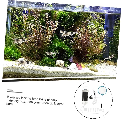 PartyKindom 1Satz Garnelen Inkubator für Aufzucht von Artemia Schnelle und Einfache Nutzung Wiederverwendbar Leicht zu Reinigen für Aquarien und Garnelenzucht PartyKindom 1Satz Garnelen Inkubator für Aufzucht von Artemia Schnelle und Einfache Nutzung Wiederverwendbar Leicht zu Reinigen für Aquarien und Garnelenzucht von PartyKindom