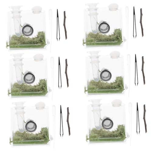 PartyKindom 2 Sätze Springspinnen-zuchtbox Tank Fänger Käfig Gecko Puzzle Spinnenstreich Springspinnen-Terrarium Geisterspinne Spinnennetz Fangset Für Pinzette Fisch Brüterei Acryl von PartyKindom