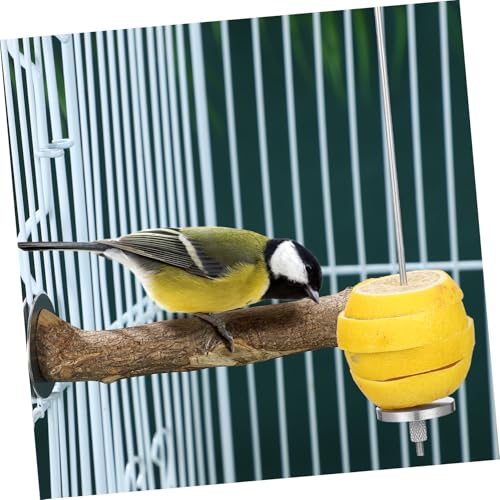PartyKindom 2 Stück Edelstahl Vogel Futterhalter Robuste Obst Gemüsespieße für Käfig Vielseitige Futterhalter für Papageien Wellensittiche Nymphensittiche und Kleine Vögel Langlebig und PartyKindom 2 Stück Edelstahl Vogel Futterhalter Robuste Obst Gemüsespieße für Käfig Vielseitige Futterhalter für Papageien Wellensittiche Nymphensittiche und Kleine Vögel Langlebig und von PartyKindom