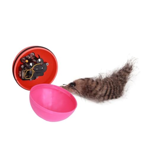 PartyKindom 2 Stück Elektrisches Wasserspielzeug Wassermaus- Hundespielzeug unverwüstlich Wasserspielzeug für Katzen Rollende Kugel Ball elektrisches Wieselspielzeug Zufällige Farbe PartyKindom 2 Stück Elektrisches Wasserspielzeug Wassermaus- Hundespielzeug unverwüstlich Wasserspielzeug für Katzen Rollende Kugel Ball elektrisches Wieselspielzeug Zufällige Farbe von PartyKindom