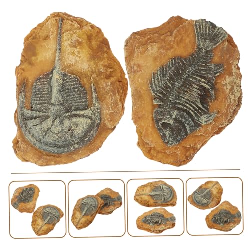 PartyKindom 2 Stück Langlebige DIY Terrarium Dekorationen Resin Fossilien mit Realistischen Details Spezielles Design für Schattige Reptilienlandschaft Sicher für Schildkröten Eidechsen von PartyKindom