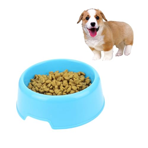 PartyKindom 2 Stück rutschfeste Kunststoff Haustier Fressnäpfe für Hunde und Katzen Bpa Frei Leicht zu Reinigen Futternapf und Wassernapf für Welpen und Kleine bis Mittelgroße Haustiere Blau PartyKindom 2 Stück rutschfeste Kunststoff Haustier Fressnäpfe für Hunde und Katzen Bpa Frei Leicht zu Reinigen Futternapf und Wassernapf für Welpen und Kleine bis Mittelgroße Haustiere Blau von PartyKindom