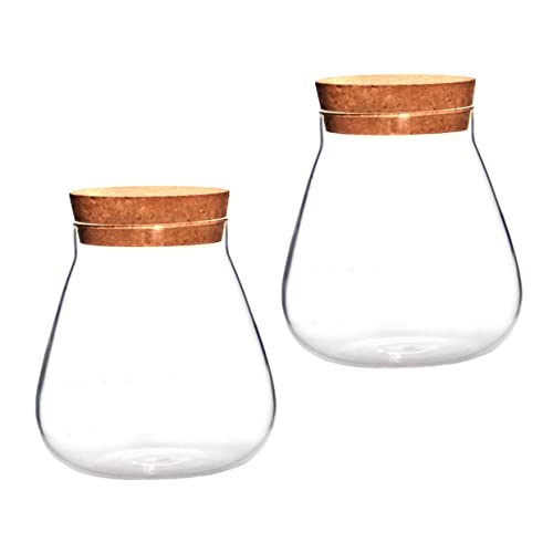 PartyKindom 2Stücke Korkstopper Glasflaschen für Kreative Landschaften Klare Vasen für Pflanzen DIY Dekoration Transparentes Design für Zuhause und Hotel PartyKindom 2Stücke Korkstopper Glasflaschen für Kreative Landschaften Klare Vasen für Pflanzen DIY Dekoration Transparentes Design für Zuhause und Hotel von PartyKindom