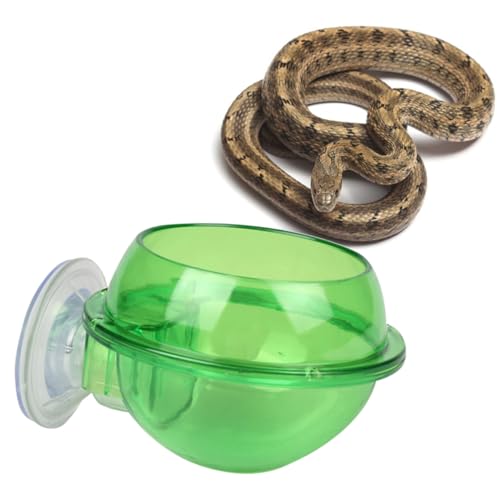 PartyKindom 2Stücke Reptilien Wassertrinkstation Sichere Fütterungsschale mit Saugnapf Kleine Reptilien Wie Schildkröten Eidechsen und Schlangen Hochwertiges von PartyKindom