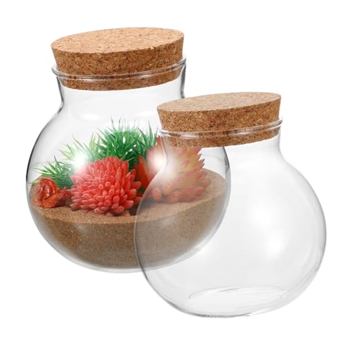 PartyKindom 2Stücke Sphärische Glasflasche Für Mikrolandschaften Deko Glasbehälter Für Sukkulenten Und Moos Mit Korkverschluss Versiegeltes Terrarium Glasgefäß von PartyKindom