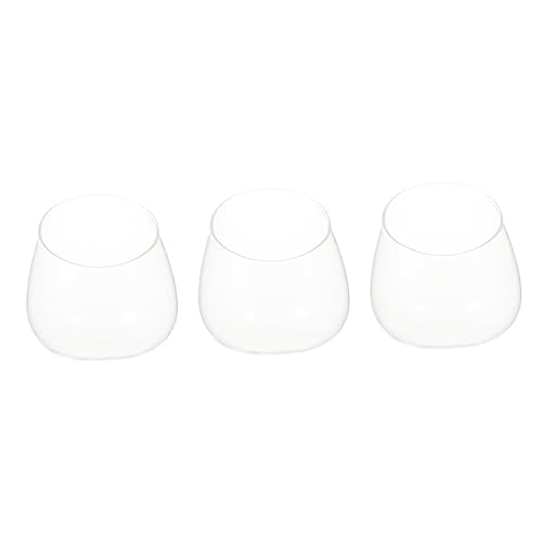 PartyKindom 3 Stück Schräge Glasflasche Drinnen Saftiges Terrarium Mikrolandschaft Mit Flasche Gefälscht Dekorativ Pflanzenterrarium Groß Terrarien Sukkulenten Schüsseln Aquarium Stilvoll Uv von PartyKindom