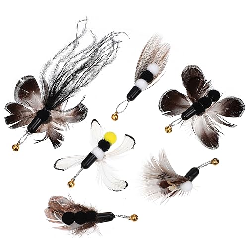 PartyKindom 6Stücke Katzenstab Aufsätze Austauschbare Katzenspielzeuge mit Realistischen Insekten Designs für Abwechslung und Spielspaß Langlebiges Katzen Teaser PartyKindom 6Stücke Katzenstab Aufsätze Austauschbare Katzenspielzeuge mit Realistischen Insekten Designs für Abwechslung und Spielspaß Langlebiges Katzen Teaser von PartyKindom