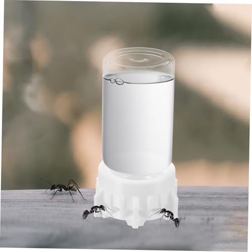 PartyKindom Automatischer Ameisen Wassertrinker Transparent Ant Waterer Futterspender Freistehend für Kleine Ameisen Kolonien Pflege von PartyKindom