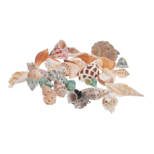 PartyKindom Dekorative für Aquarium für Fischbehälter Hochwertige Deko Natürliche Dekoration für Aquarienlandschaft Sicher und PartyKindom Dekorative für Aquarium für Fischbehälter Hochwertige Deko Natürliche Dekoration für Aquarienlandschaft Sicher und von PartyKindom