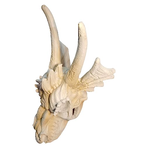 PartyKindom Drachenkopf Schädel Ornament Für Aquarien Resin Versteck Kreatives Aquariumhausdekor Für Garnelen Und Kleine Fische Einzigartiges Element PartyKindom Drachenkopf Schädel Ornament Für Aquarien Resin Versteck Kreatives Aquariumhausdekor Für Garnelen Und Kleine Fische Einzigartiges Element von PartyKindom
